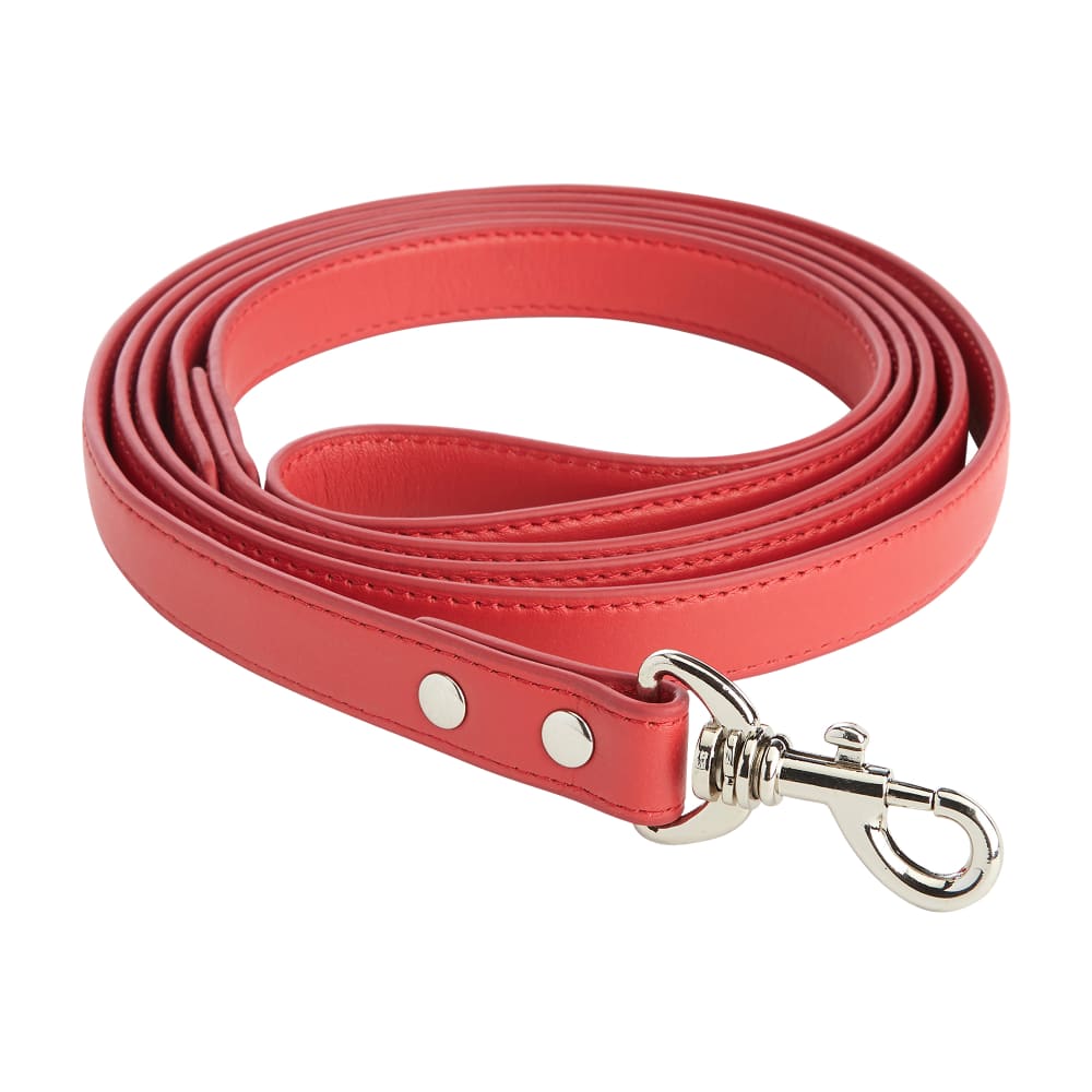 Personalized dog leash discount