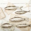 &quot;Silver Stream&quot; Set of Five Decorative Fish