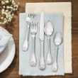 Reed & Barton &quot;Colonial Shell II&quot; 18/10 Stainless Steel Flatware